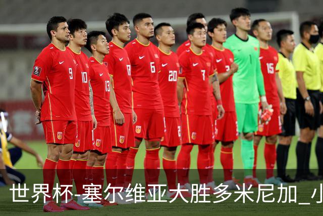 世界杯-塞尔维亚大胜多米尼加 小组第二进八强