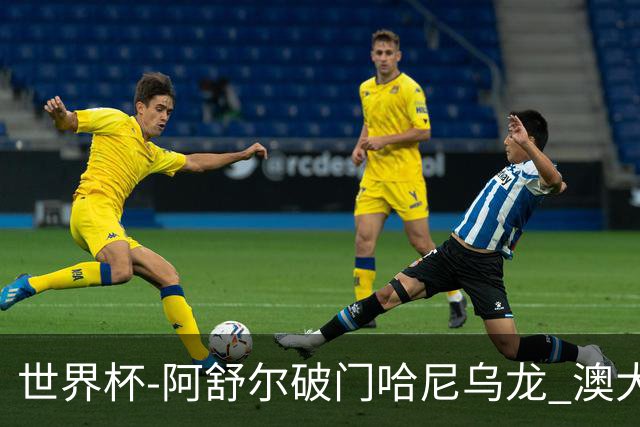 世界杯-阿舒尔破门哈尼乌龙 澳大利亚1-1埃及进加时