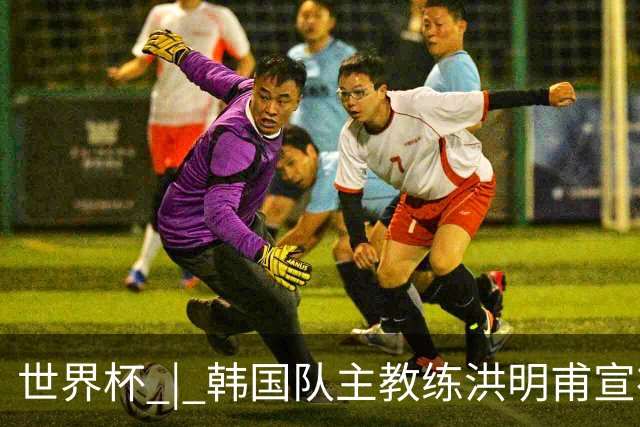 世界杯 | 韩国队主教练洪明甫宣布辞职