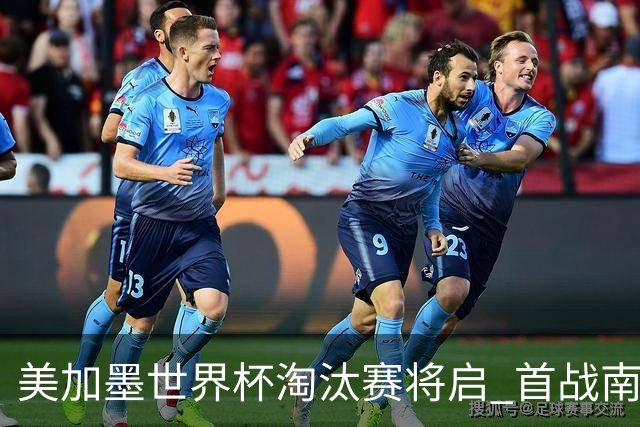 美加墨世界杯淘汰赛将启 首战南非对阵加拿大